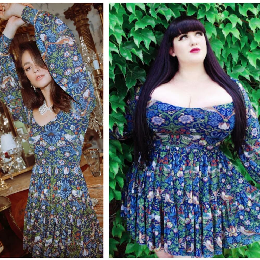 BLACKMILK Strawberry Thief Blue Sweet Frill Dress Limited Edition Sz XL {3D18}